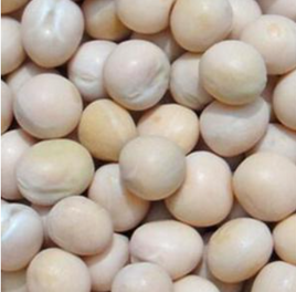 Peas Yellow