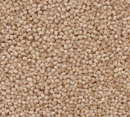 Poppy Seeds