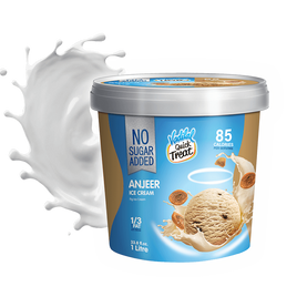 Vadilal No Sugar Anjeer Ice Cream