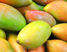 Totapuri Mangoes