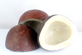 Bansi Dry Coconut