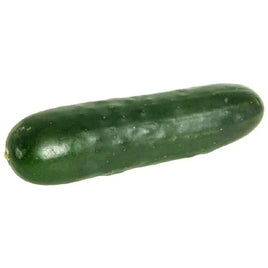 American Cucumber