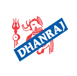 Dhanraj Kidney Beans Light