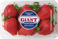 Giant Strawberry Box