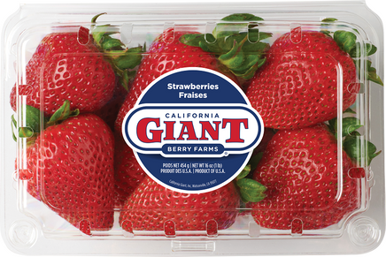 Giant Strawberry Box