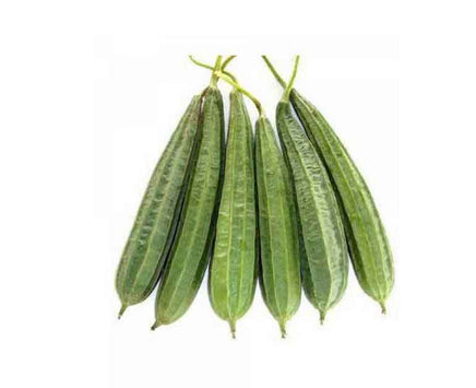 Ridge Gourd (Turai / Tooriya)