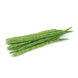 Drumstick
