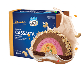 Vadilal Chocolate Cassatta Ice Cream