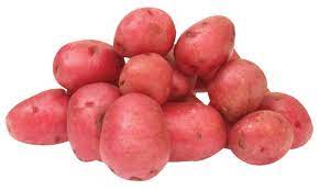 Red Creamer Potato