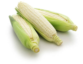White Corn